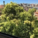 Cozy - Center, Sunny And Pratical