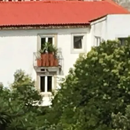 Cozy - Center, Sunny And Pratical Διαμέρισμα *