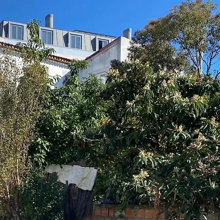 Cozy - Center, Sunny And Pratical * Lisbon