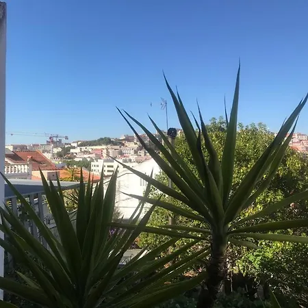 Апартаменты Cozy - Center, Sunny And Pratical