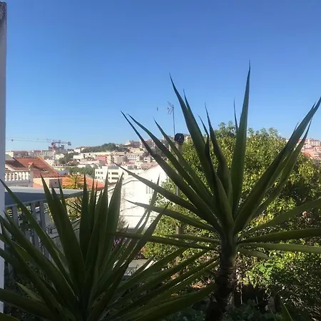 Apartment Cozy - Center, Sunny And Pratical