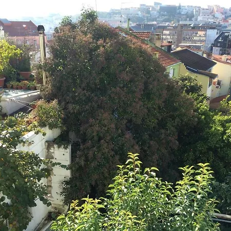 Cozy - Center, Sunny And Pratical Апартаменты *