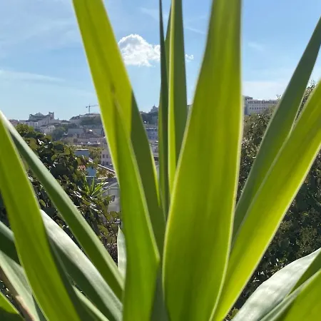 Cozy - Center, Sunny And Pratical * Лиссабон