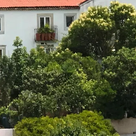 Апартаменты Cozy - Center, Sunny And Pratical