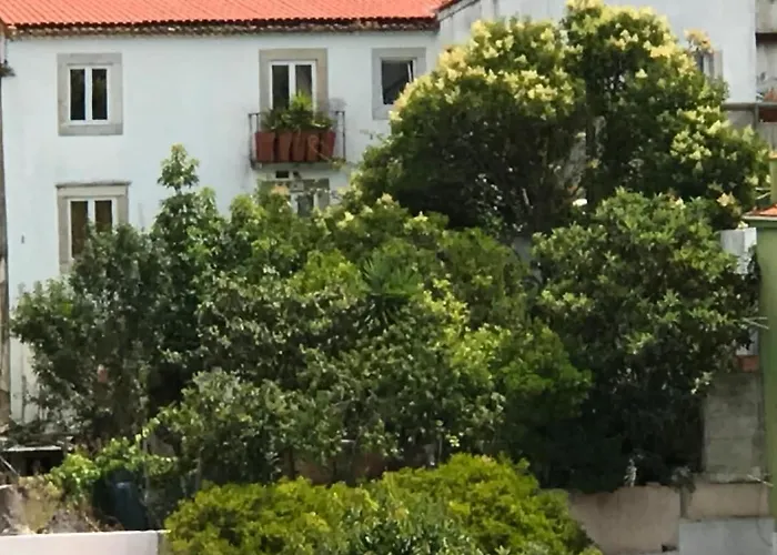 Apartamento Cozy - Center, Sunny And Pratical