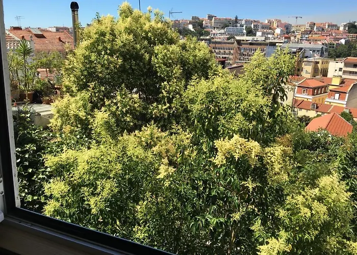 Cozy - Center, Sunny And Pratical