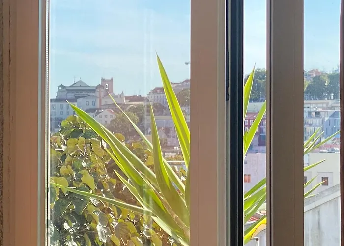Cozy - Center, Sunny And Pratical